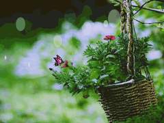 인연, 그리고 운명