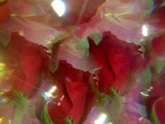 Feel free to call me anytime.