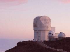 [긴츠라] 무화과나무에서 열매가 떨어지면