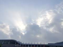 [백업용]원신 종려 일러스트