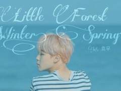 Little Forest –Winter, Spring 8.