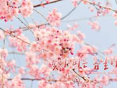 [하이큐/마츠하나] 꽃이피는 봄날에 #외전