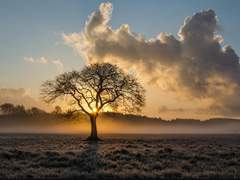 [공손찬*유비] '달다'의 정의