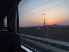 감정과 감각 사이