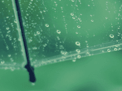 포스트 비밀번호 공지+티스토리 주소