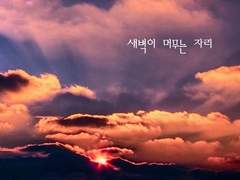 새벽이 머무는 자리 4