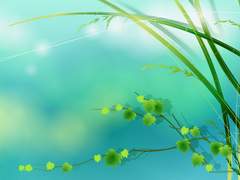 너와 나의 아침은