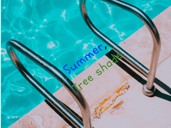 여름, 나무그늘