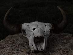 [토니피터] 그와 무슨 관계죠?