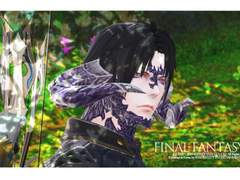 검은장막 숲 동부삼림 아홉덩굴 숲