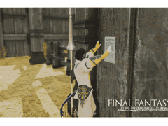 동부 다날란 금 장터