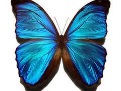 내가 너¿에게 전하는/₩(%궭ㅡㄴ???? 쓰는 말