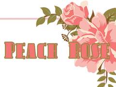 PEACH ROSE