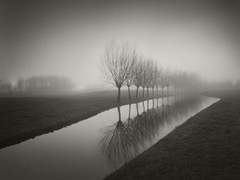 우리 외롭지 않을 때까지