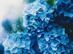 무컨펌 세션카드 커미션