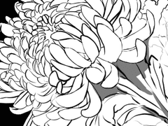 190310 칼릭스 개인로그