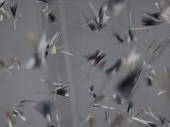 [허묵유연] Strongly desired