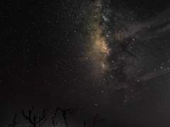 트위터 썰 백업 7