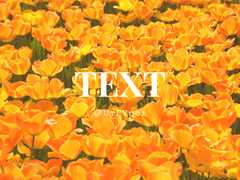 [쿠라사와ts] 짝사랑 #0