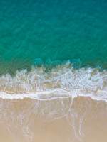 사회 심리학 시리즈