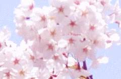 내일의 경계로부터 B