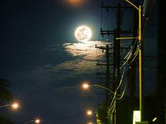 달조차 없는 밤