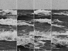 밤이 우는 이유 prologue