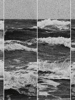 밤이 우는 이유