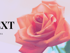 [크리사와] 늘그막 사랑길