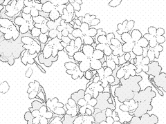 [란마사] "이 벚꽃 아래에서 고백하면~ 같은 소문 흔히 있잖아"