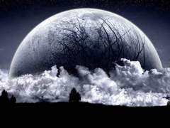 [진궁쬬/진궁조조] Castle of Vampire 00