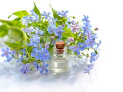 [중혁독자] 생과 사를 함께한 정인 -起]