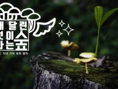날개달린 버섯이 자라는 숲 플레이 로그