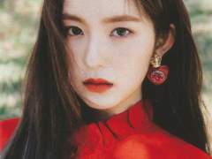 금빛 소매의 노래