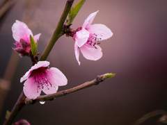 [건아] 침묵의 봄 러닝 로그