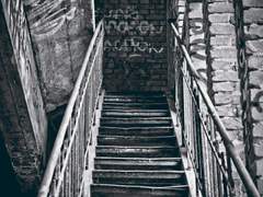 [랩홉] Wild Dog 00.~05. (完)