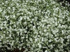 하루를 삼켜내고