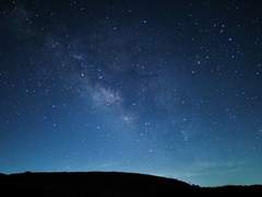 [내스급/현제유진+노아유진] 夢~胡蝶夢(호접몽)~