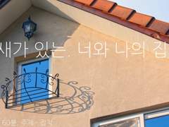 새가 있는. 너와 나의 집.