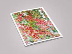 [쿠로케이] 붉게 물드는 계절