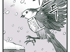 얼스터로 보내는 편지