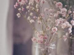 들꽃이 피고 지는 골목에서