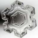 아라마루(고요)