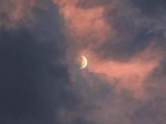 N4. 사진신퇴(巳進申退)