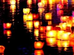 홍연화(紅煙花)6.