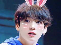 Pop❣️ Rabbit🐰