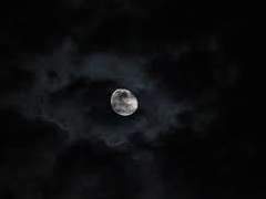 원소조조/원쬬 - 秋風辭