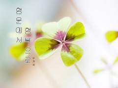 행운에서 행복으로