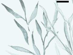 [아카쿠로] 우리는 서로에게