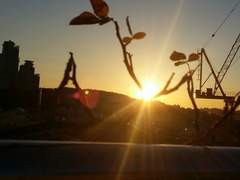 Could you please be the one, my carefree friend?**